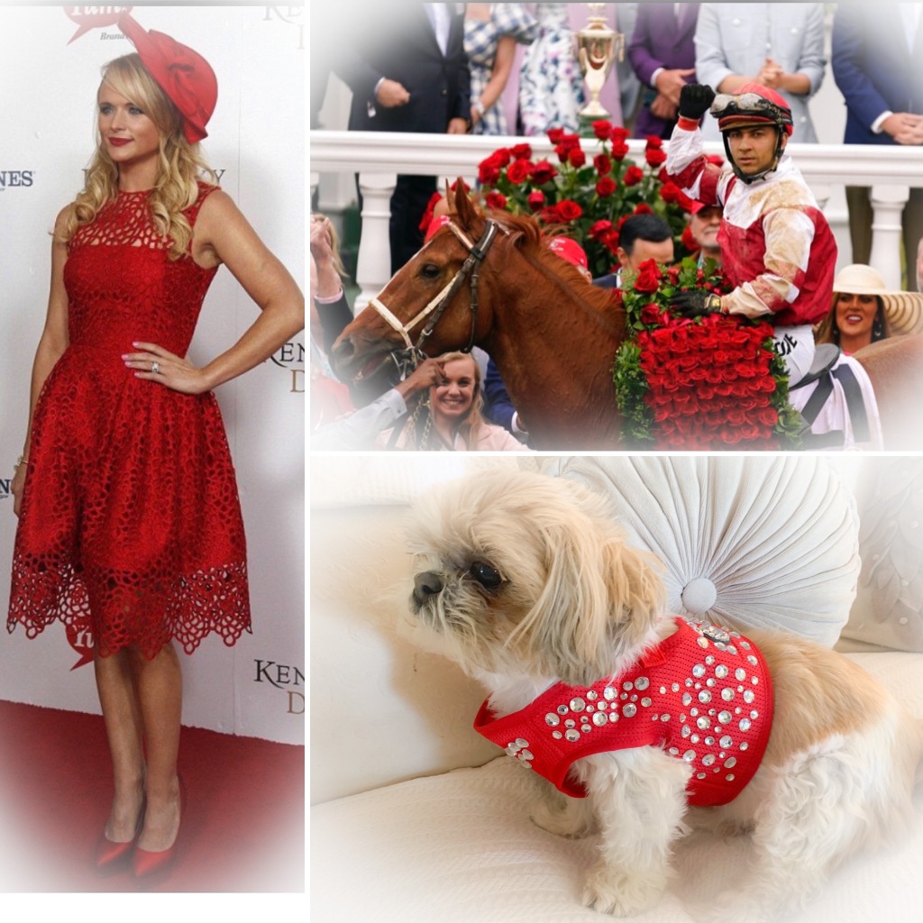 Bark Avenue Bling's red harness highlights one of the classic fashion color of the Kentucky Derby.